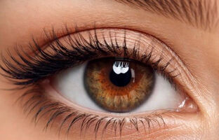 Блефаропластика, Алхімія Краси